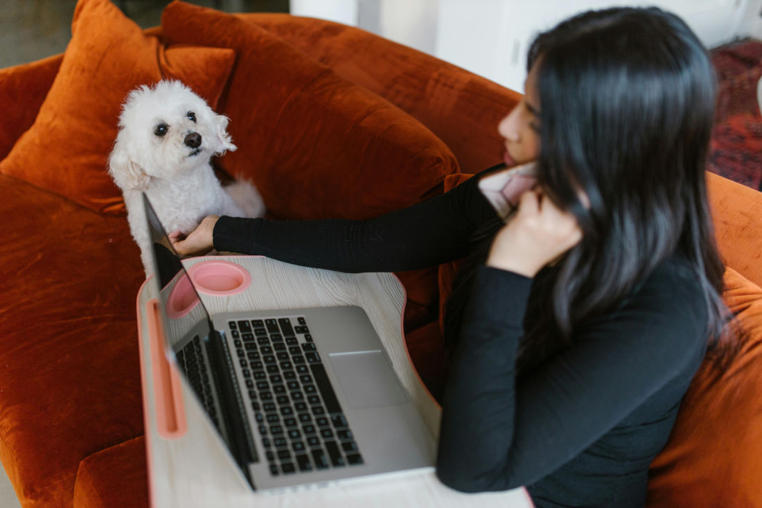 woman working on phone with their pup on couch