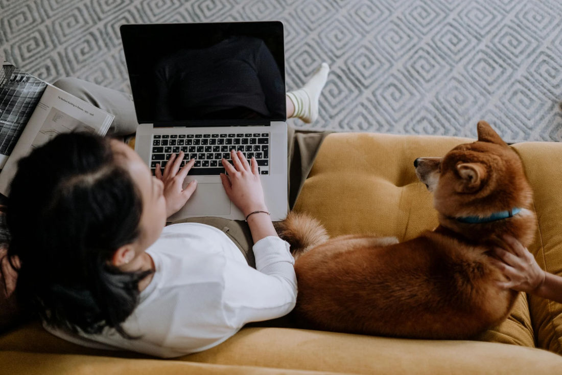 pet-friendly workplaces featured image